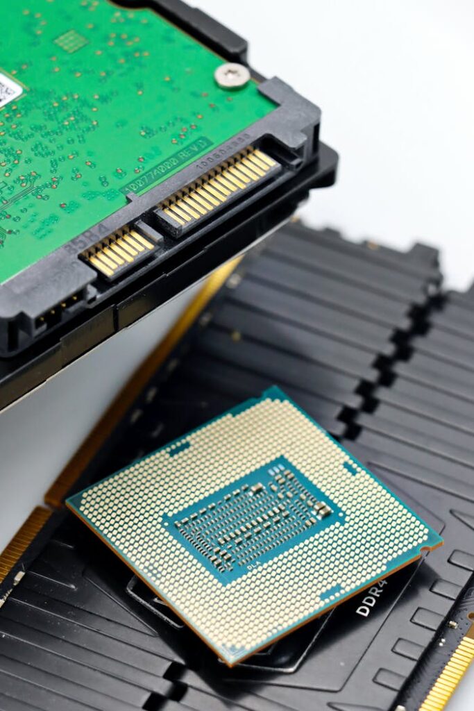 pexels photo 37113176.jpeg